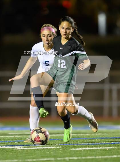 Thumbnail 3 in Reagan [Ronald] vs Johnson photogallery.