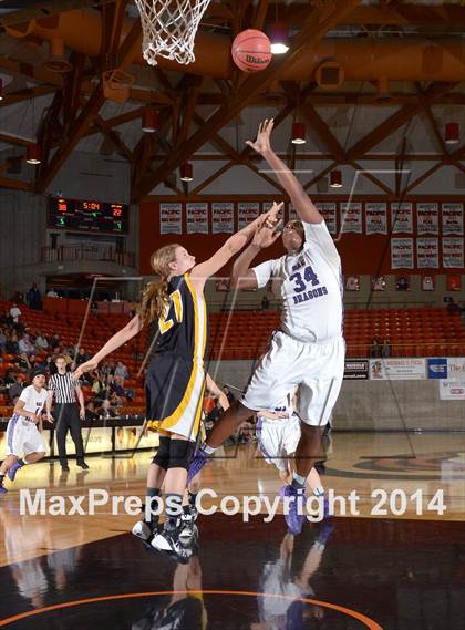 Thumbnail 1 in Del Oro vs Sacramento (CIF SJS D2 Playoff) photogallery.