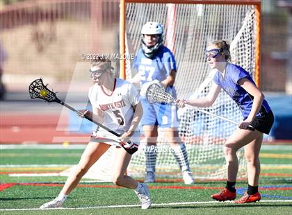 Thumbnail 1 in Davis @ Monte Vista (CIFNCS D1 Rd1) photogallery.