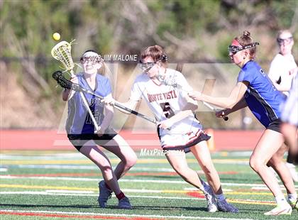 Thumbnail 1 in Davis @ Monte Vista (CIFNCS D1 Rd1) photogallery.