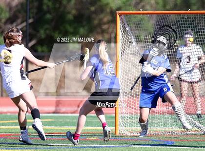 Thumbnail 1 in Davis @ Monte Vista (CIFNCS D1 Rd1) photogallery.