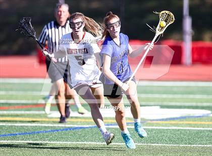 Thumbnail 3 in Davis @ Monte Vista (CIFNCS D1 Rd1) photogallery.