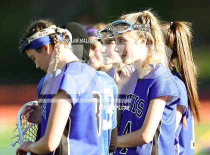 Thumbnail 1 in Davis @ Monte Vista (CIFNCS D1 Rd1) photogallery.