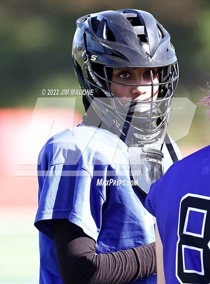 Thumbnail 2 in Davis @ Monte Vista (CIFNCS D1 Rd1) photogallery.