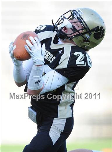 null - Photo 01