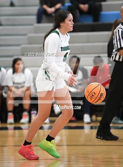 Thumbnail 2 in Chaparral vs. Youngker (Lady Wolves Court Classic) photogallery.