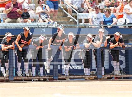 Thumbnail 3 in Clearfield vs. Tunkhannock (PIAA 4A Championship) photogallery.