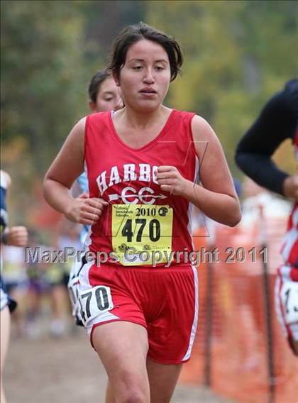Thumbnail 2 in CIF State Cross Country Championships (D5 Girls) photogallery.