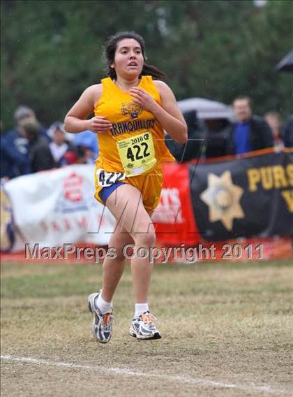 Thumbnail 2 in CIF State Cross Country Championships (D5 Girls) photogallery.