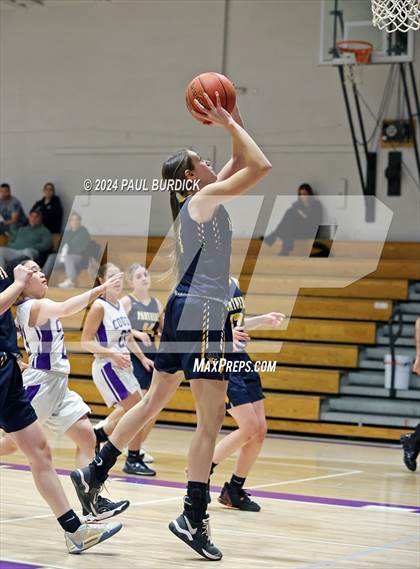 Thumbnail 1 in  Northern Potter @ Coudersport photogallery.