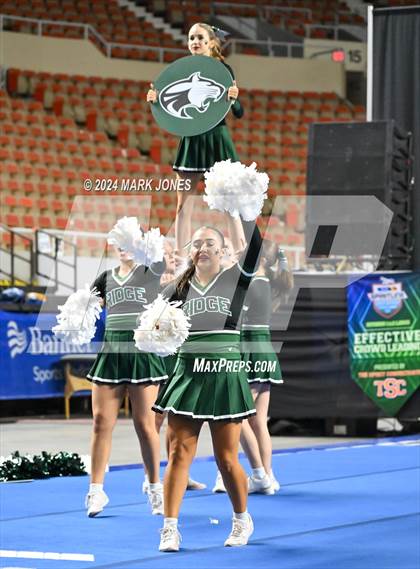 Thumbnail 2 in Mountain Ridge - Cheer Game Day Championships (AIA Division I) photogallery.
