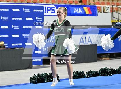 Thumbnail 3 in Mountain Ridge - Cheer Game Day Championships (AIA Division I) photogallery.