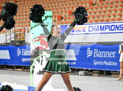 Thumbnail 3 in Mountain Ridge - Cheer Game Day Championships (AIA Division I) photogallery.