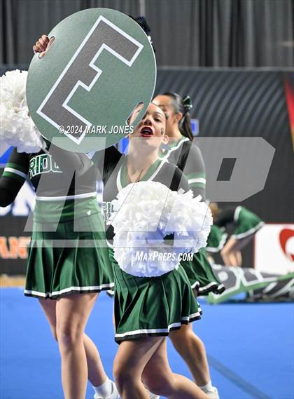 Thumbnail 1 in Mountain Ridge - Cheer Game Day Championships (AIA Division I) photogallery.