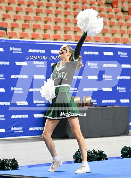 Thumbnail 3 in Mountain Ridge - Cheer Game Day Championships (AIA Division I) photogallery.