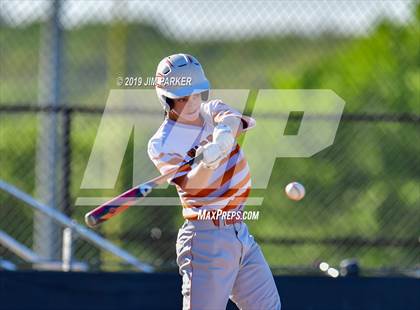 Thumbnail 2 in Round Rock Westwood @ Vandegrift photogallery.