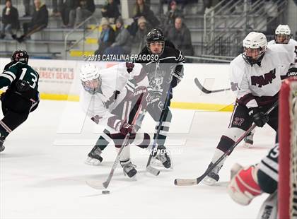 Thumbnail 1 in Ramapo @  Park Regional photogallery.