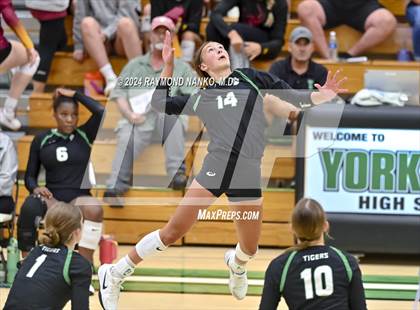 Thumbnail 1 in Roncalli @ Yorktown photogallery.
