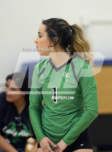 null - Photo 41