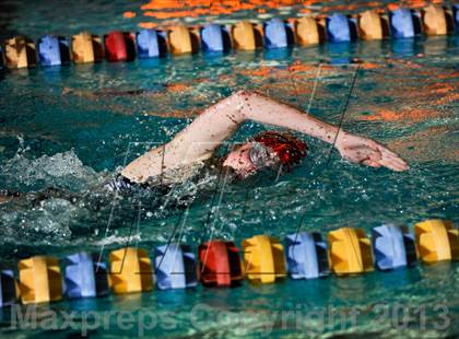 Thumbnail 3 in Nixa Dual Meet @ The Springfield Natatoriun  photogallery.