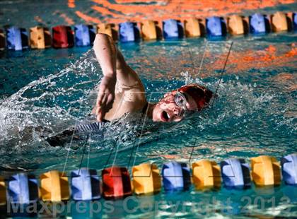 Thumbnail 2 in Nixa Dual Meet @ The Springfield Natatoriun  photogallery.