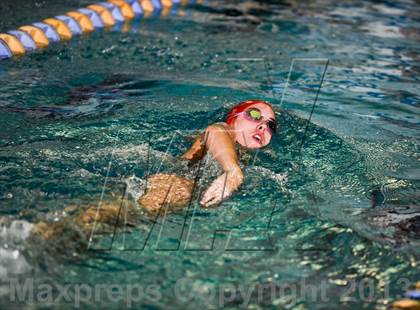 Thumbnail 3 in Nixa Dual Meet @ The Springfield Natatoriun  photogallery.