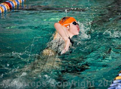 Thumbnail 3 in Nixa Dual Meet @ The Springfield Natatoriun  photogallery.