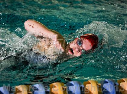 Thumbnail 3 in Nixa Dual Meet @ The Springfield Natatoriun  photogallery.