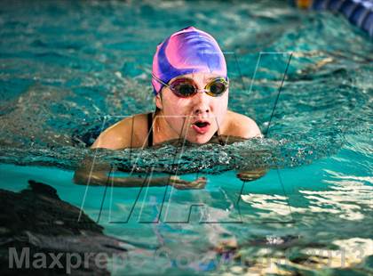 Thumbnail 2 in Nixa Dual Meet @ The Springfield Natatoriun  photogallery.