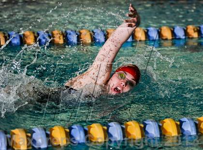 Thumbnail 2 in Nixa Dual Meet @ The Springfield Natatoriun  photogallery.