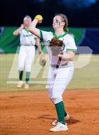 Photo from the gallery "Plant @ Sumner"