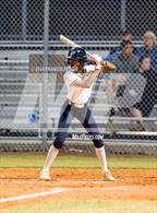 Photo from the gallery "Plant @ Sumner"