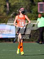 Photo from the gallery "Taconic Hills @ Kingston"