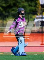 Photo from the gallery "Pine Plains @ Kingston"
