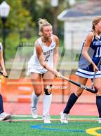 Photo from the gallery "Pine Plains @ Kingston"