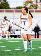 Photo from the gallery "Pine Plains @ Kingston"