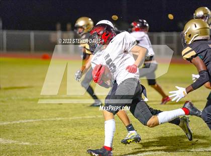 Thumbnail 1 in Liberty @ Basha  photogallery.