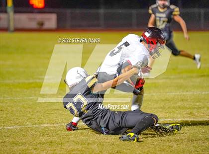 Thumbnail 2 in Liberty @ Basha  photogallery.