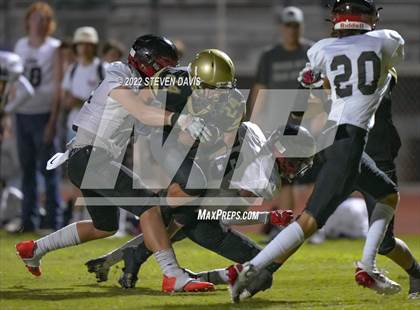Thumbnail 2 in Liberty @ Basha  photogallery.