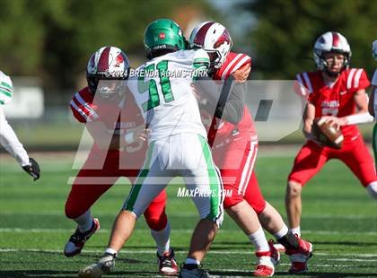 Thumbnail 1 in Yorktown @ New Palestine photogallery.
