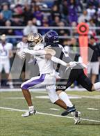 Photo from the gallery "New Haven @ Leo"
