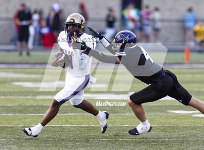 Thumbnail 3 in New Haven @ Leo photogallery.