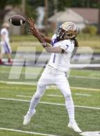 Photo from the gallery "New Haven @ Leo"