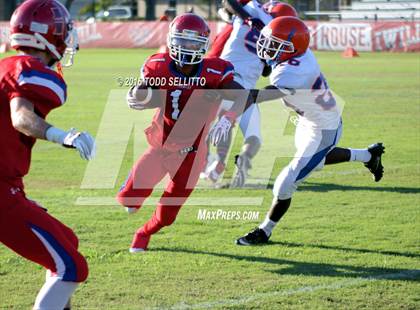 Thumbnail 1 in Southeast @ Manatee photogallery.