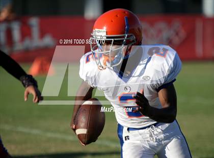 Thumbnail 1 in Southeast @ Manatee photogallery.