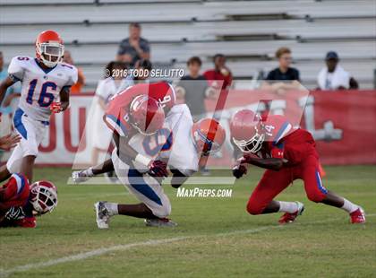 Thumbnail 1 in Southeast @ Manatee photogallery.