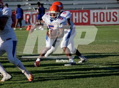 Thumbnail 3 in Southeast @ Manatee photogallery.
