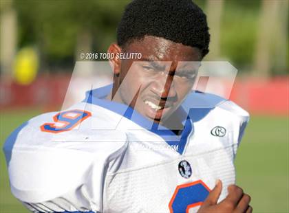 Thumbnail 2 in Southeast @ Manatee photogallery.