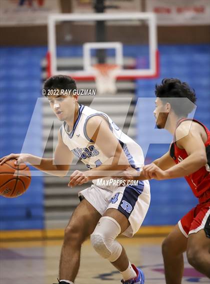 Thumbnail 3 in Redwood vs. Kerman photogallery.