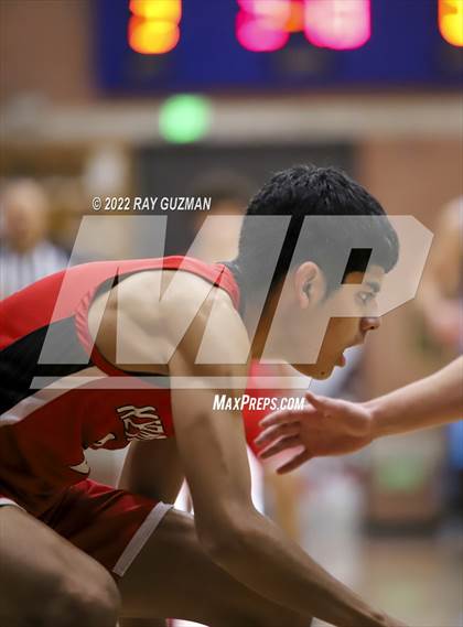 Thumbnail 2 in Redwood vs. Kerman photogallery.